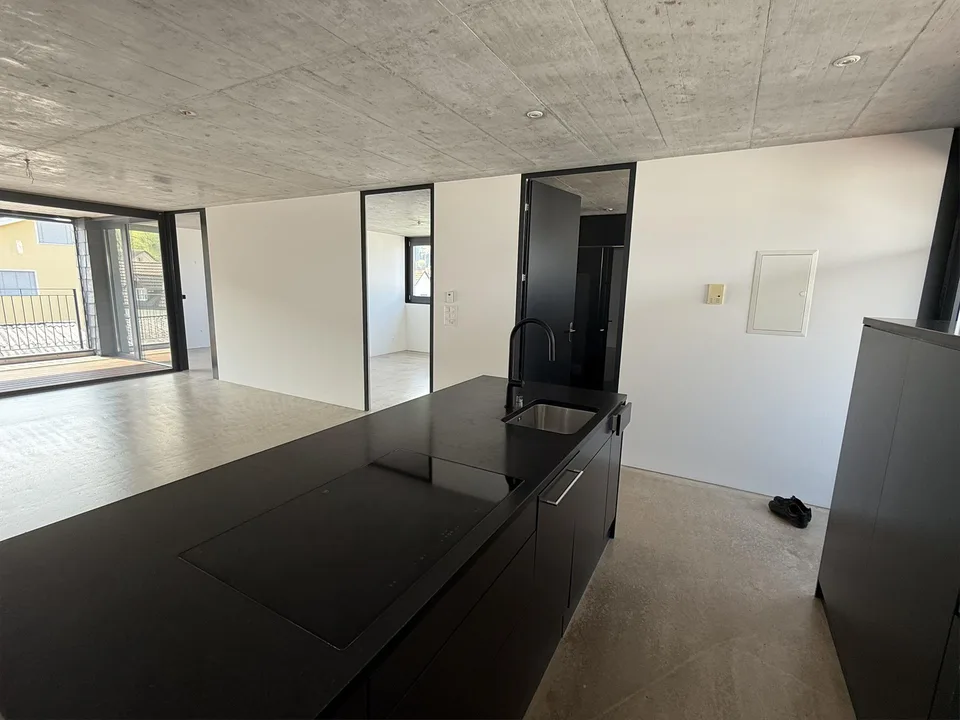 3 1/2 Zimmer Atttikawohnung im Loftcharakter mit gedeckter Terrasse