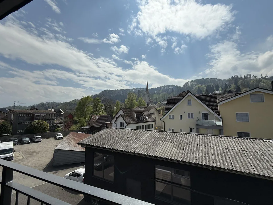 3 1/2 Zimmer Atttikawohnung im Loftcharakter mit gedeckter Terrasse