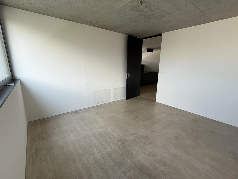 3 1/2 Zimmer Atttikawohnung im Loftcharakter mit gedeckter Terrasse