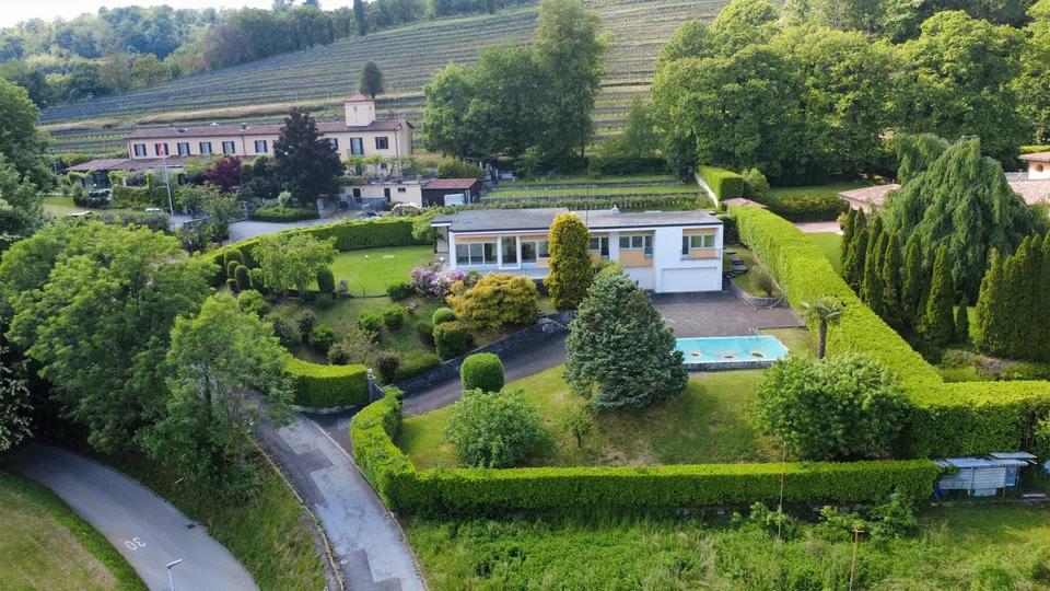 Villa immersa tra i vigneti – Foto 2 von 9