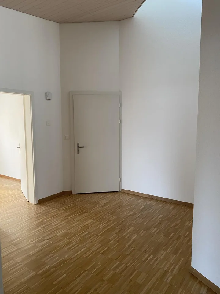 5.5 Zimmer-Wohnung mit grosser Terrasse und Seesicht