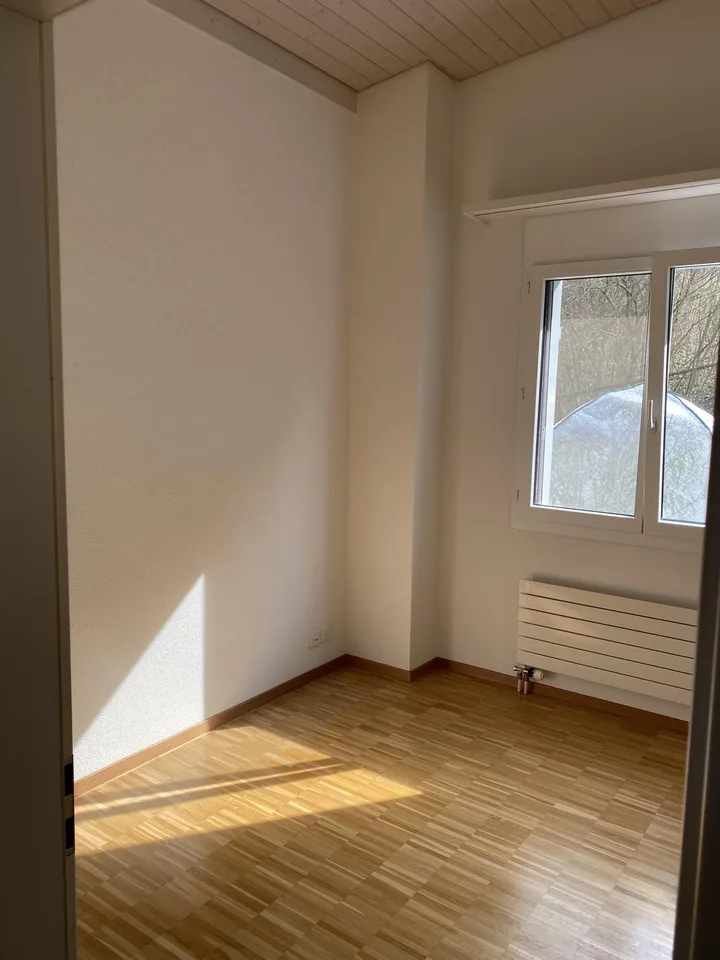 5.5 Zimmer-Wohnung mit grosser Terrasse und Seesicht