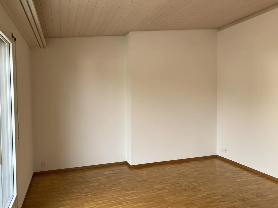 5.5 Zimmer-Wohnung mit grosser Terrasse und Seesicht