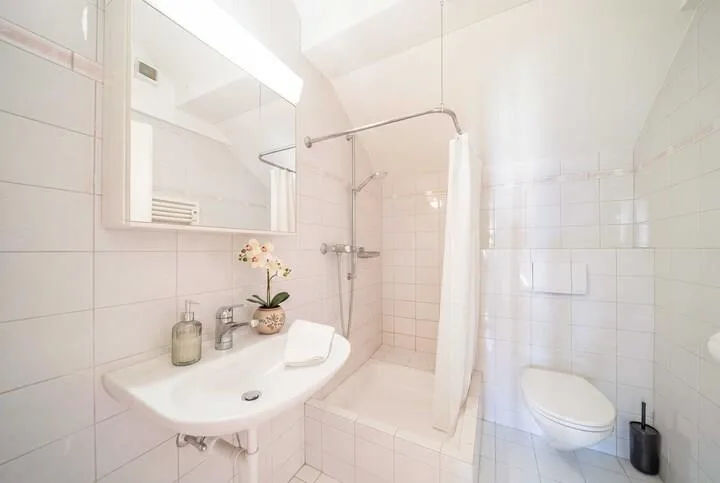CHARMING PENTHOUSE IN BASEL-STADT – photo 4 of 8