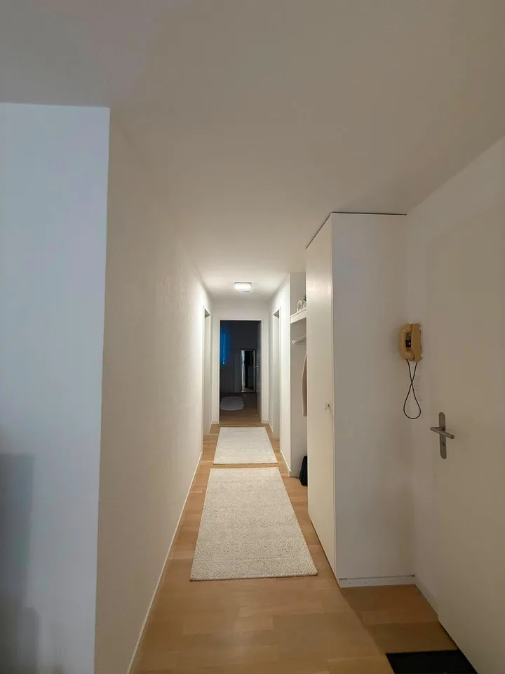 3½-Zimmerwohnung an Top-Lage in Rheineck SG