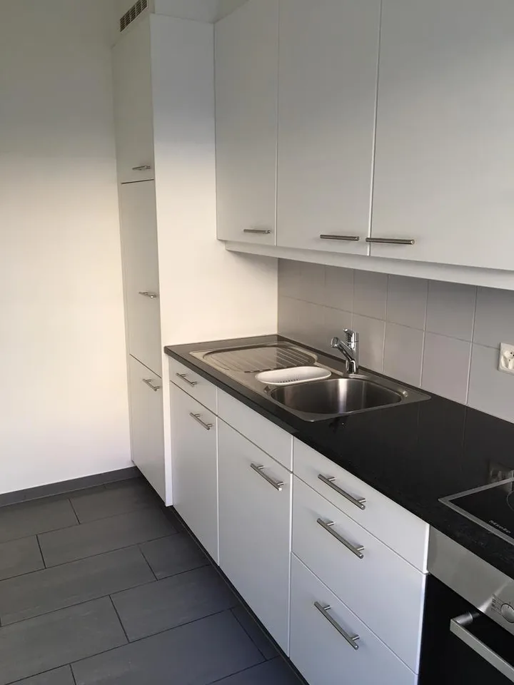 Morderne 1-Zimmerwohnung Nähe Dreirosenbrücke – Foto 3 von 4