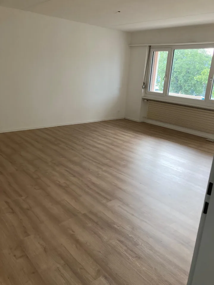 Komplett frisch renovierte 4.5 Wohnung – foto 3 di 6