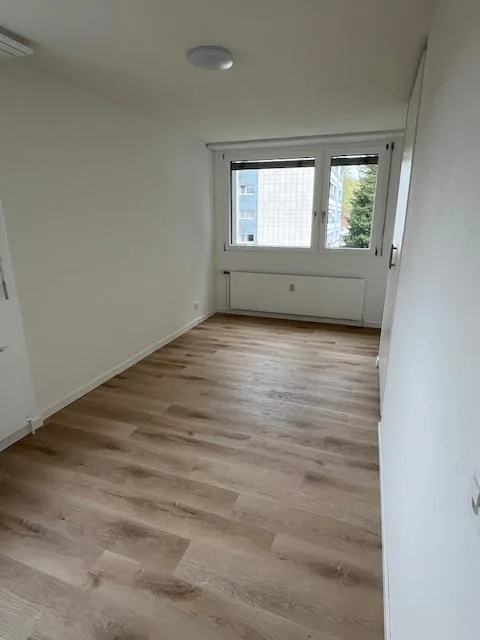 Neu sanierte 5.5-Zimmer-Wohnung