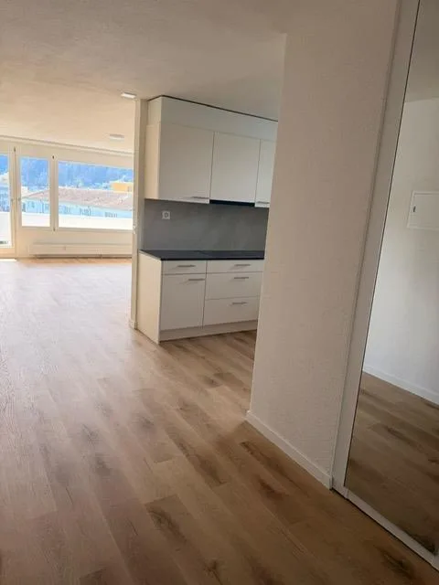 Neu sanierte 5.5-Zimmer-Wohnung