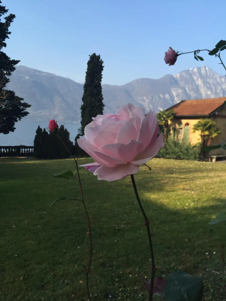 Villa a lago con piscina, giardino e darsena – Foto 3 von 12
