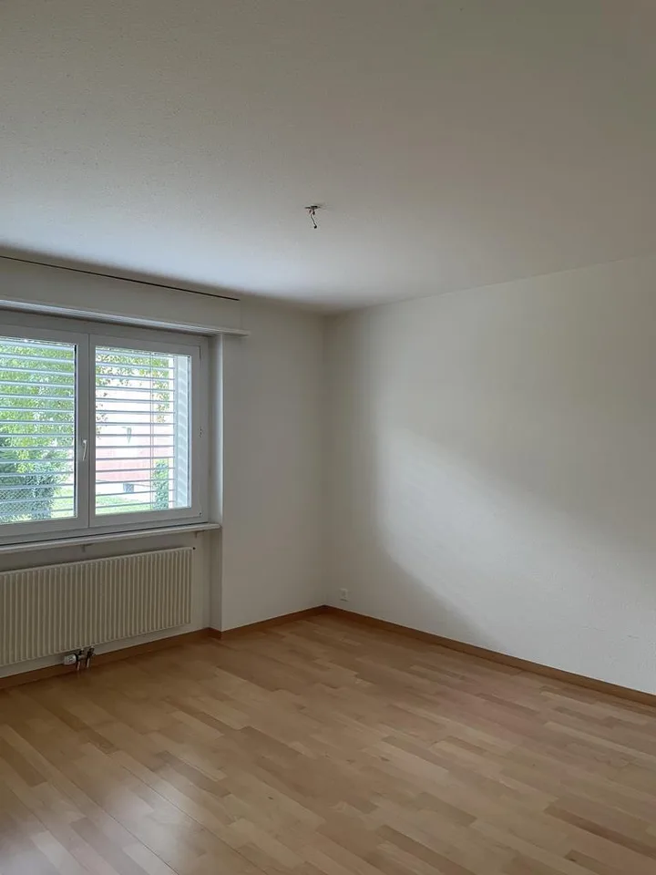 Singlewohnung zu vermieten