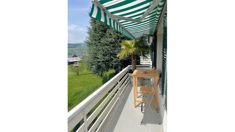 2½ ZI-WOHNUNG IN KÜSSNACHT AM RIGI (SZ), MÖBLIERT, TEMPORÄR