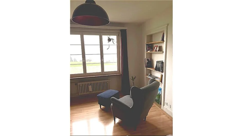2½ ZI-WOHNUNG IN KÜSSNACHT AM RIGI (SZ), MÖBLIERT, TEMPORÄR