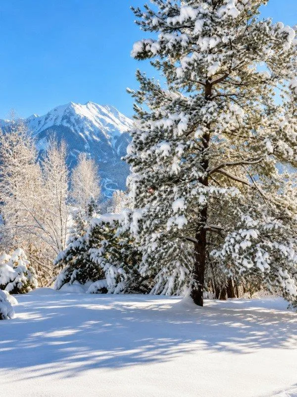 Appartamento 5½ locali - 150m2 - con giardino a Gstaad – foto 6 di 6