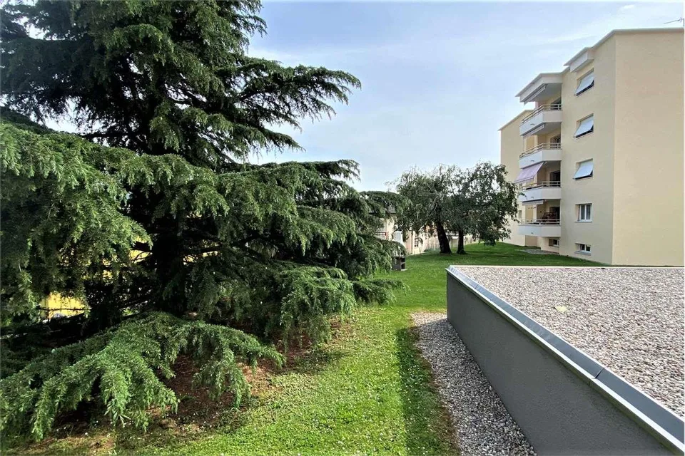 3,5 locali immerso nel verde