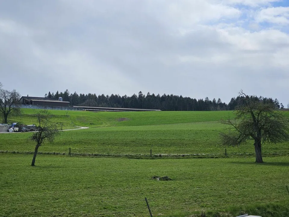 Neubau-Loftwohnung mit Aussicht, Ruhe und Komfort – Foto 10 von 11