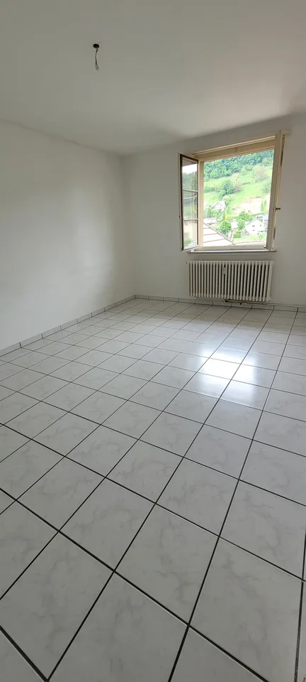 2 Zimmer Wohnung mit Wohnküche