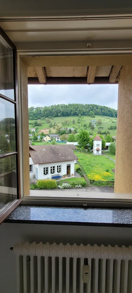 2 Zimmer Wohnung mit Wohnküche