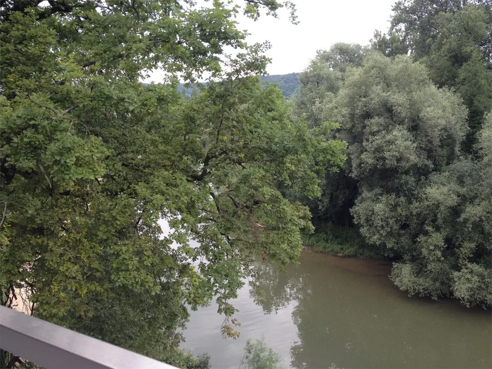 4 1/2 Zimmer mit Ausicht in das Naturschutzgebiet