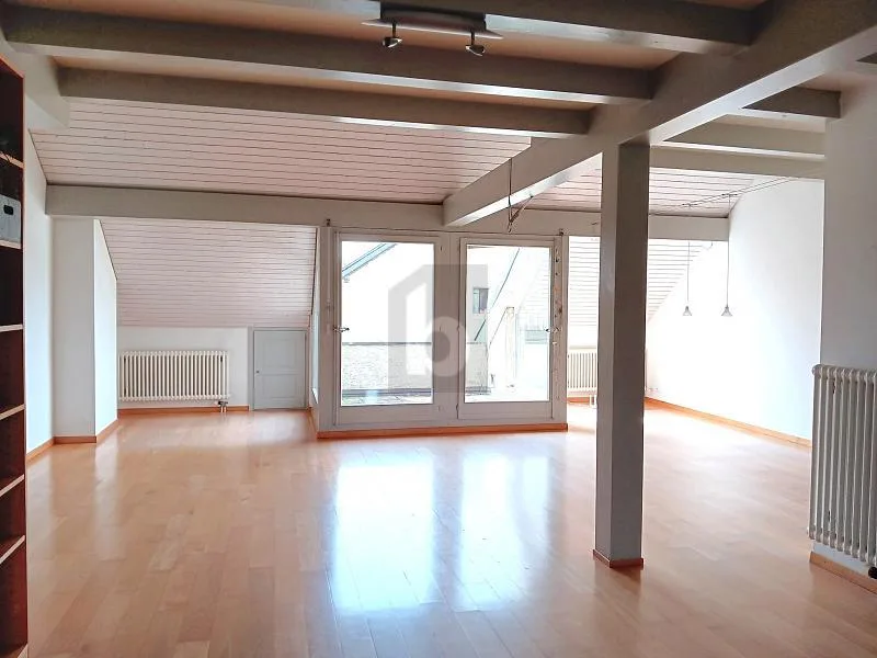 DUPLEX RARE ET UNIQUE !