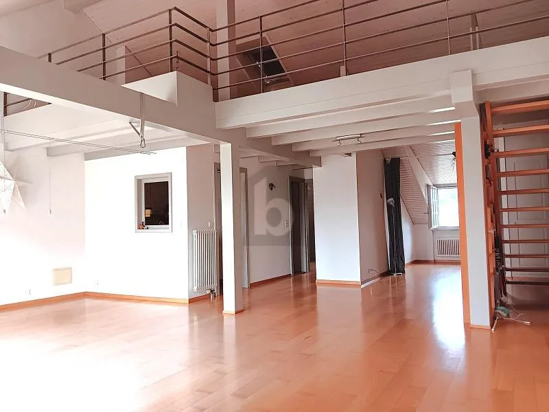 DUPLEX RARE ET UNIQUE !