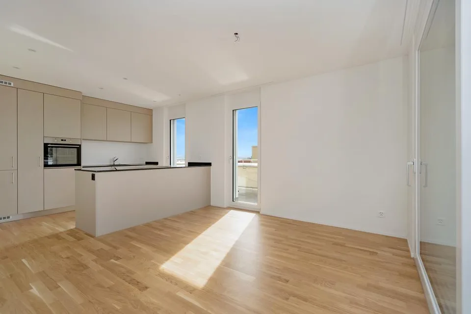 Moderne Attika-Wohnung in Niederbipp