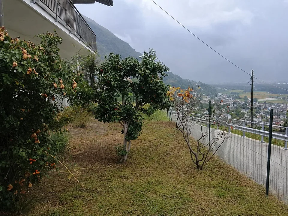 2-Familienhaus an sehr ruhiger, sonniger Aussichtslage / Casa bifam... – Foto 18 von 28