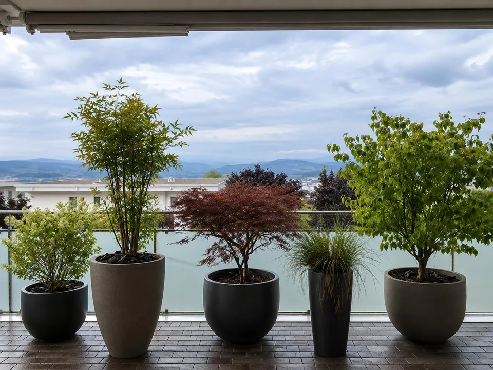 162 m² Attikawohnung mit Rundum-Terrasse, Alpenblick & direktem Liftzu – Foto 2 von 18