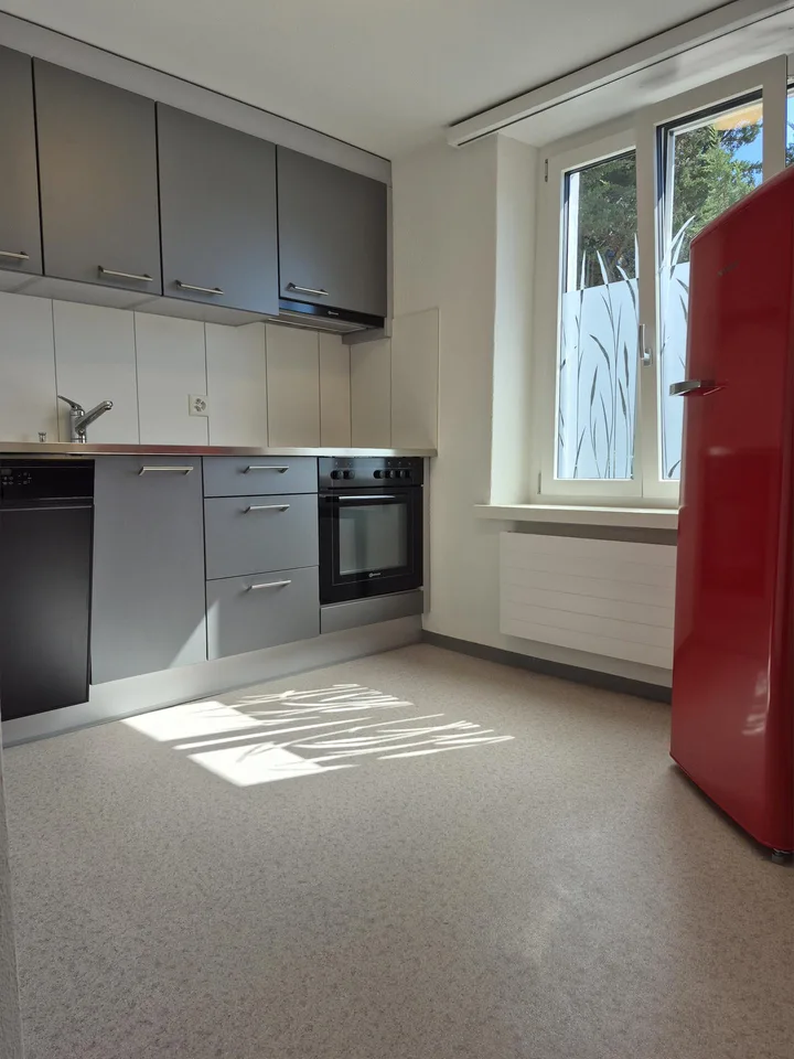 Charmant appartement 3.5 pièces dans un immeuble ancien à Maienfeld – rénové et situé au calme