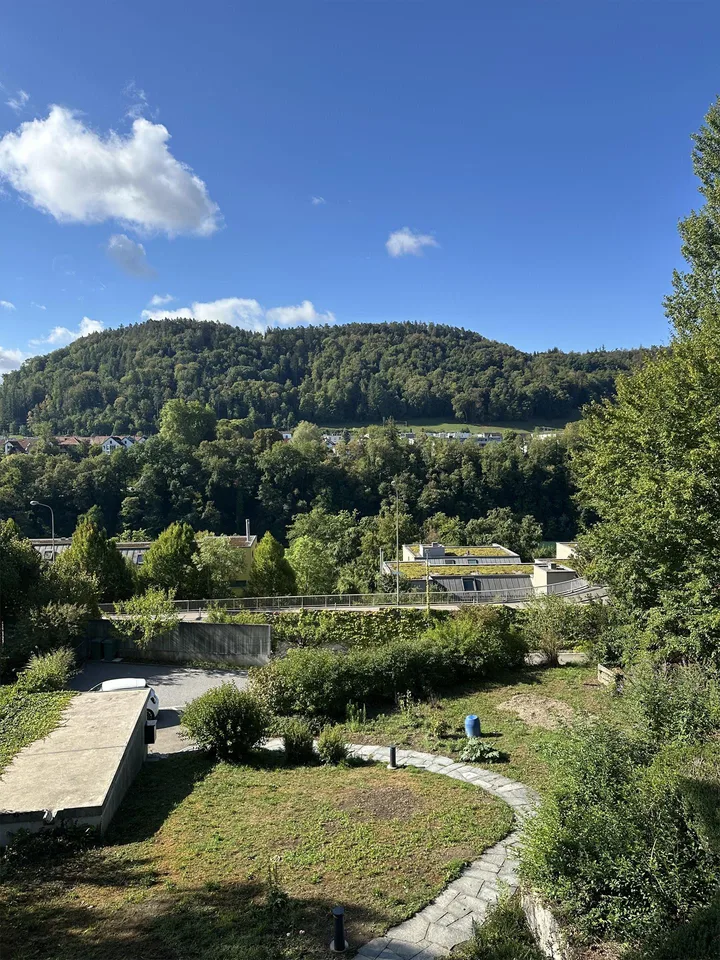 5.5 room apartment in Eglisau