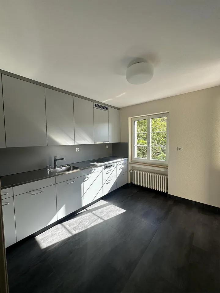 5.5 room apartment in Eglisau