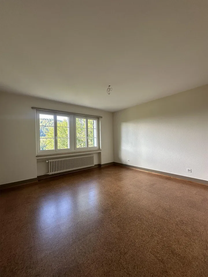 5.5 room apartment in Eglisau