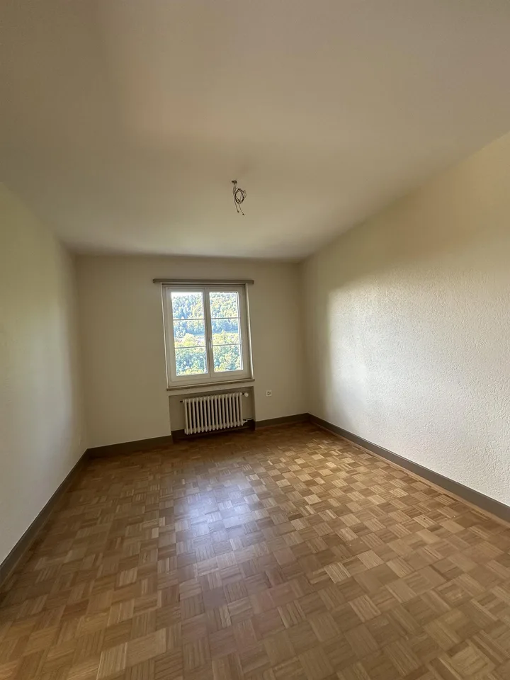 5.5 room apartment in Eglisau