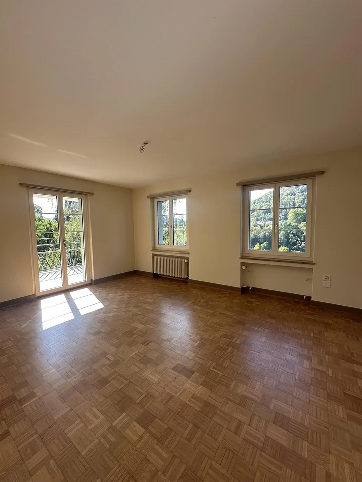 5.5 room apartment in Eglisau
