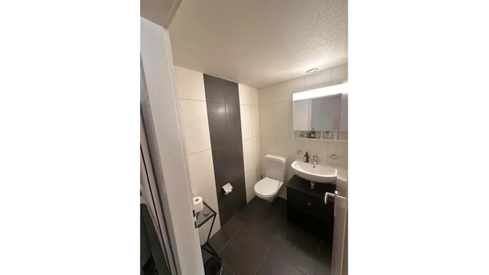 APPARTEMENT 2½ PIÈCES À LAUSANNE - SOUS-GARE/OUCHY, MEUBLÉ, DURÉE DÉTE – foto 12 di 14
