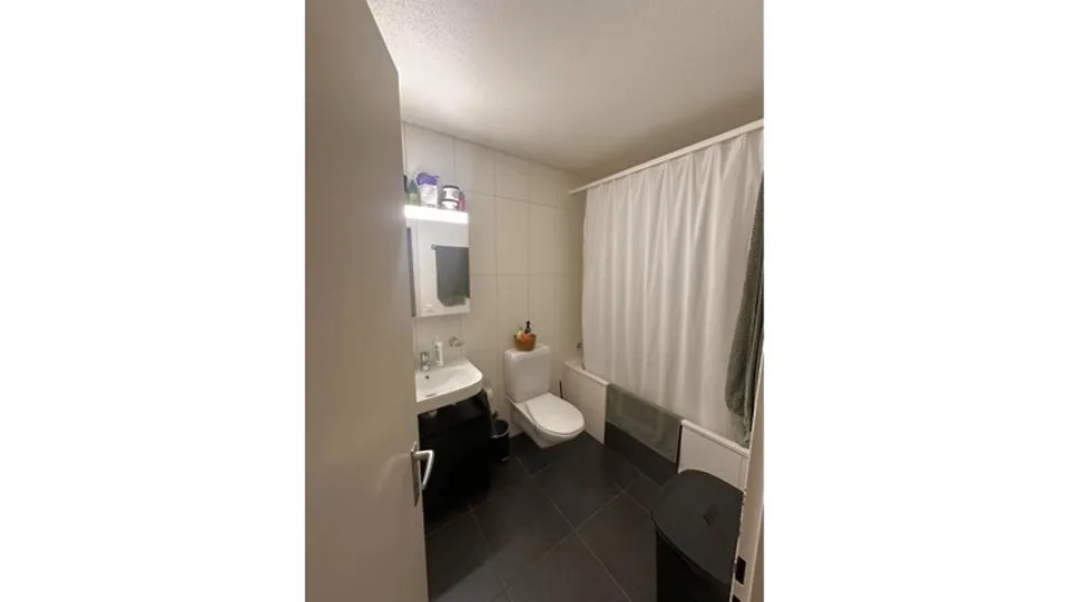 APPARTEMENT 2½ PIÈCES À LAUSANNE - SOUS-GARE/OUCHY, MEUBLÉ, DURÉE DÉTE – foto 13 di 14