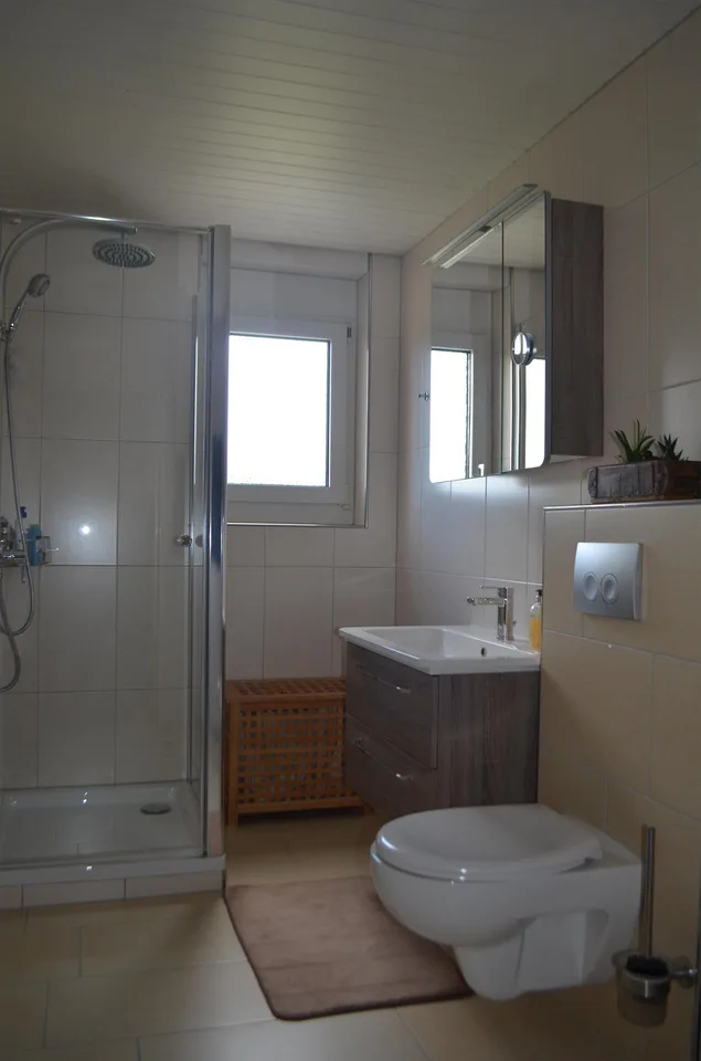 3.5 Zimmer Dachwohnung – photo 5 of 11