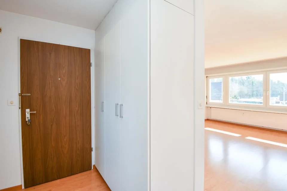 Grosse & gemütliche Wohnung mit Cheminée