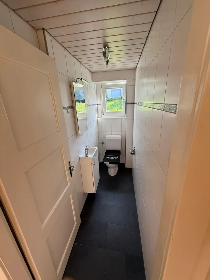 Charmante, frisch renovierte 3.5-Zimmer-Wohnung, sehr sonnig