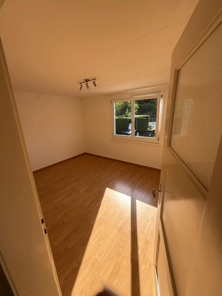 Charmante, frisch renovierte 3.5-Zimmer-Wohnung, sehr sonnig