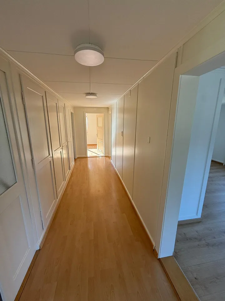 Charmante, frisch renovierte 3.5-Zimmer-Wohnung, sehr sonnig