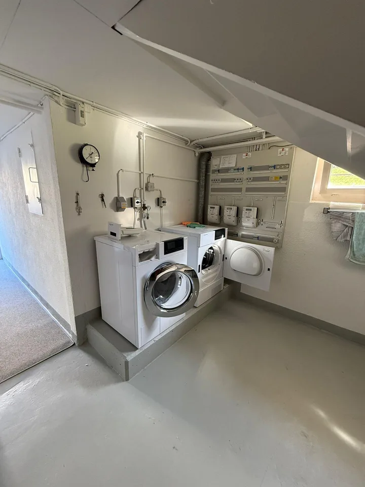 Charmante, frisch renovierte 3.5-Zimmer-Wohnung, sehr sonnig