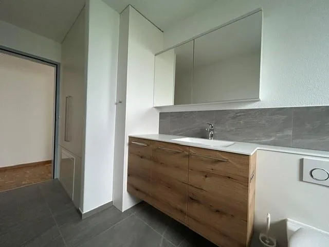 Helle und grosszügige 4.5-Zimmer-Wohnung in Dagmersellen