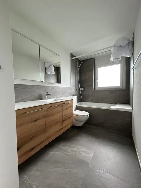 Helle und grosszügige 4.5-Zimmer-Wohnung in Dagmersellen