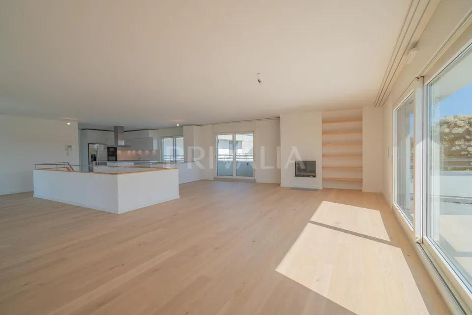 Superbe attique en duplex rénové avec terrasses et vue dégagée – foto 15 di 26