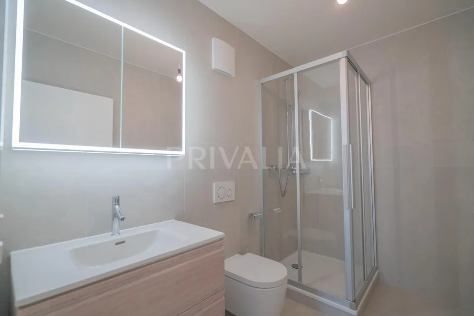 Superbe attique en duplex rénové avec terrasses et vue dégagée – foto 23 di 26