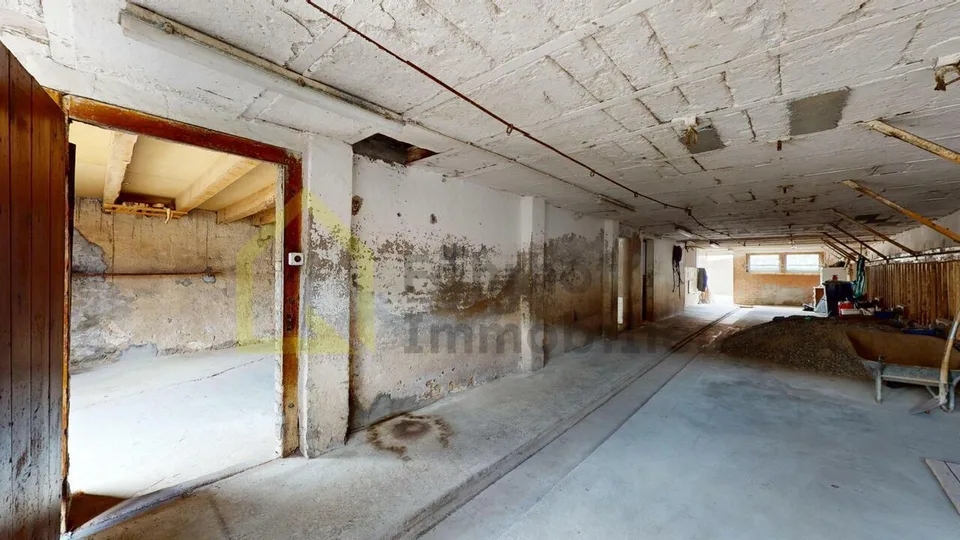Casa con annessi e 4'800 m2 di terreno – foto 17 di 25