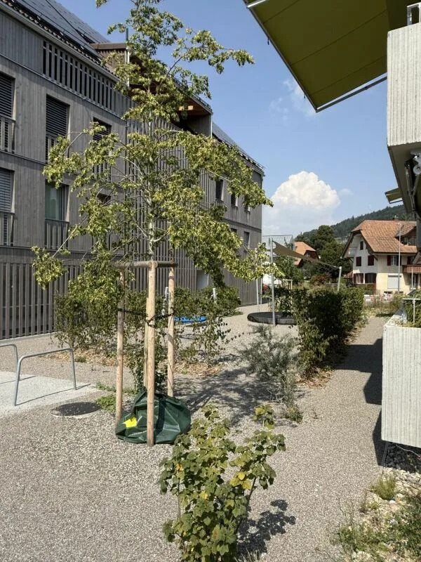 Neuwertige 3.5-Zimmerwohnung im 1. OG mit Wintergarten