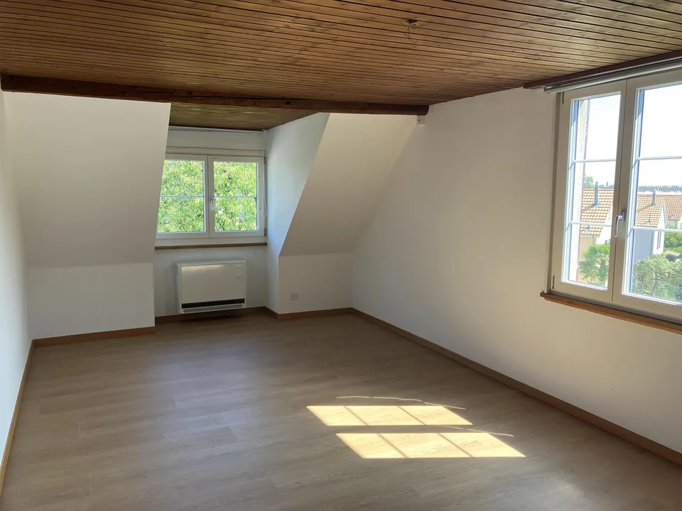 3-Zimmer Dachwohnung