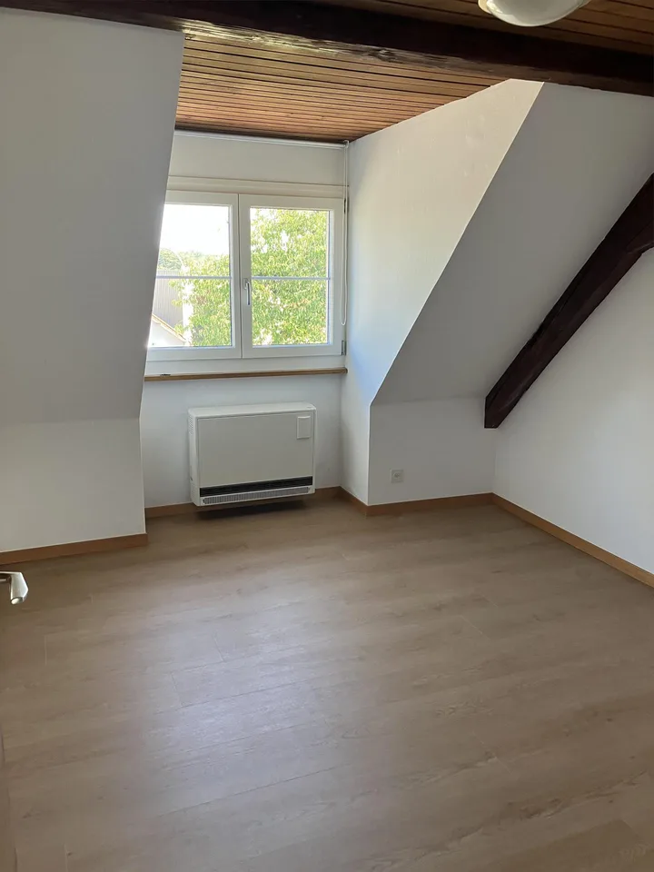 3-Zimmer Dachwohnung